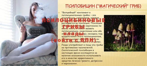 СК Новокубанск