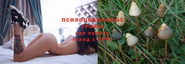 каннабис Новозыбков